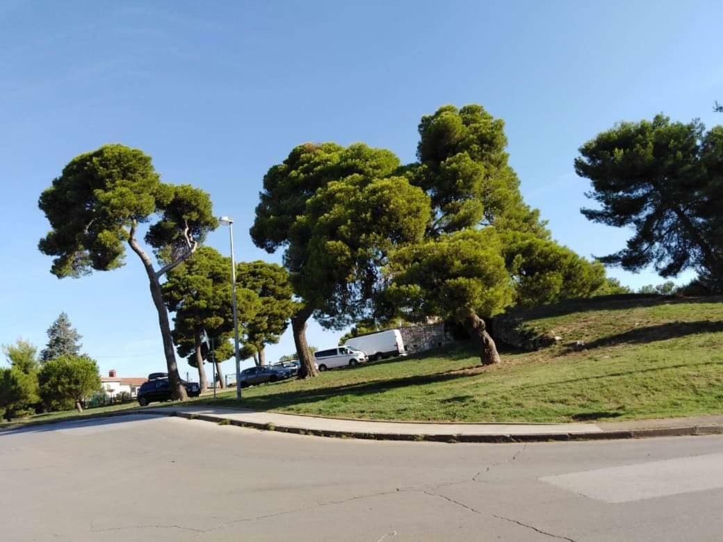 Apartman Miki Pula Bagian luar foto